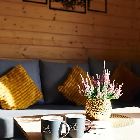 Шале Osada Orlica Klimatyczne Z Widokiem Na Gory I Termalnym Sauna Jacuzzi 4 Km Od Zieleniec Arena